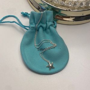 Tiffany & Co. Elsa Peretti Starfish in Sterling Silver